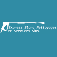 Logo Express blanc nettoyage et Services Sàrl