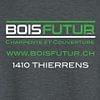 Logo BOISFUTUR Sàrl