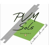 Logo PVM Sols